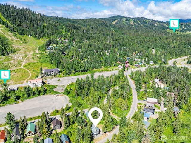 481 Hyak Dr E, Snoqualmie Pass, WA 98068 - photo 32