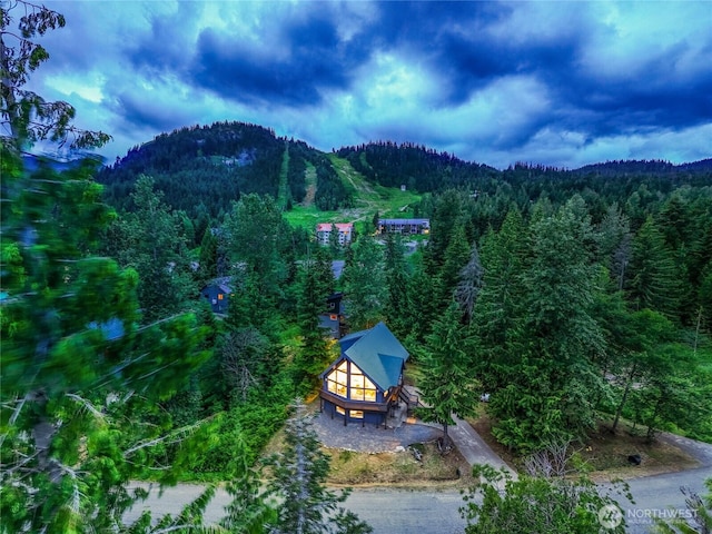 481 Hyak Dr E, Snoqualmie Pass, WA 98068 - photo 2