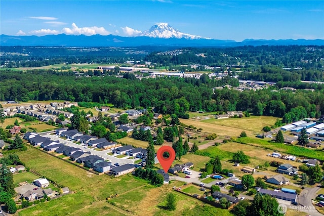 11613 63rd Street Ct E, Puyallup, WA 98372 - aerial overview of property's location with a mountain backdrop
