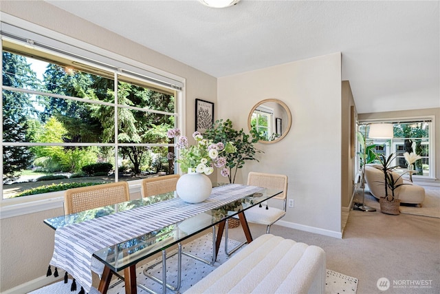 10425 SE 22nd St, Bellevue, WA 98004 - photo 12