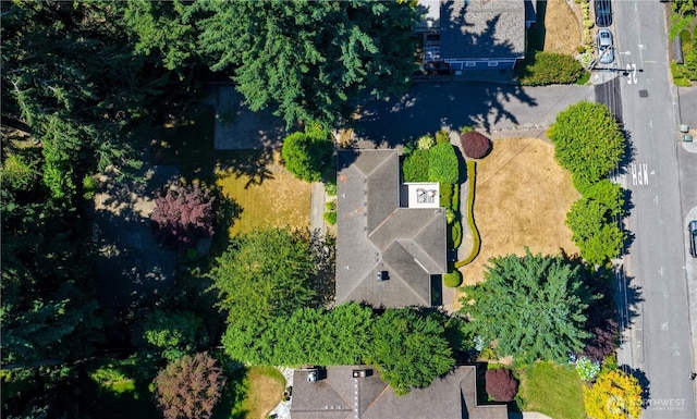 10425 SE 22nd St, Bellevue, WA 98004 - photo 2