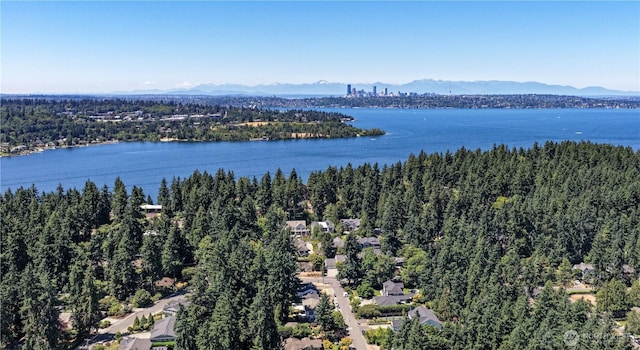 10425 SE 22nd St, Bellevue, WA 98004 - photo 1