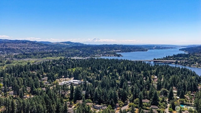 10425 SE 22nd St, Bellevue, WA 98004 - photo 37