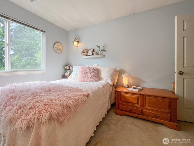 38774 SE Beta, Unit Snoqualmie, WA 98065 - bedroom with carpet floors