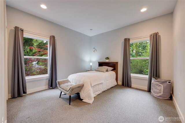 28728 NE 52nd St, Carnation, WA 98014 - photo 33