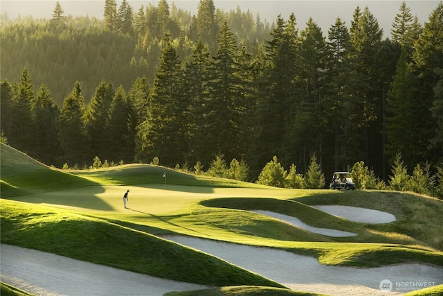 141 Plateau Loop, Cle Elum, WA 98922 - view of community featuring golf course view and a wooded view
