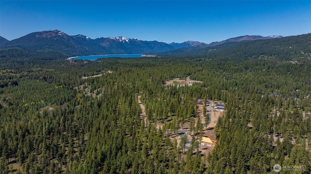 141 Plateau Loop, Cle Elum, WA 98922 - view of mountain background featuring a forest