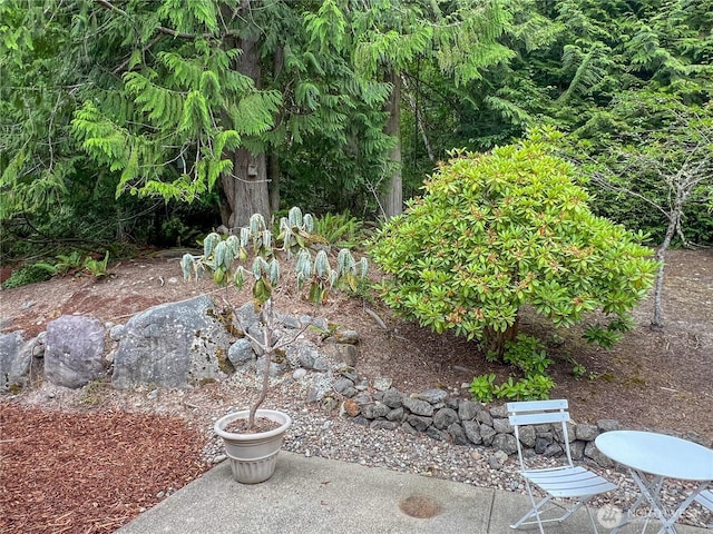 104 Puget Loop, Port Ludlow, WA 98365 - view of yard