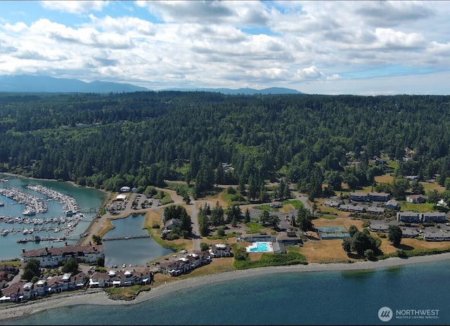 104 Puget Loop, Port Ludlow, WA 98365 - aerial view of property's location featuring a heavily wooded area and a water and mountain view