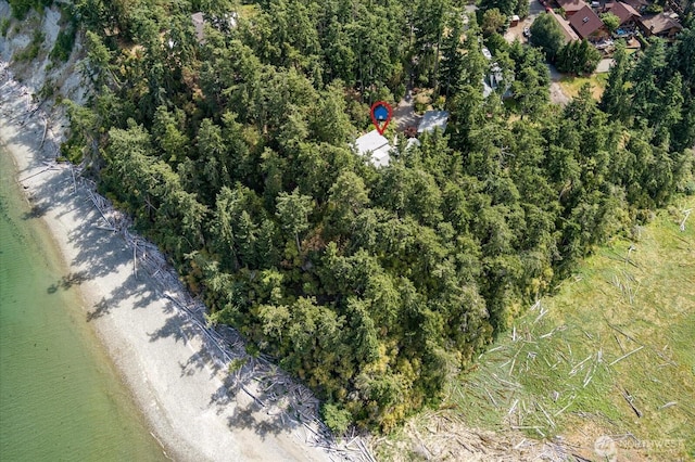 222 Rhodena Dr, Coupeville, WA 98239 - aerial view of property's location with a large body of water