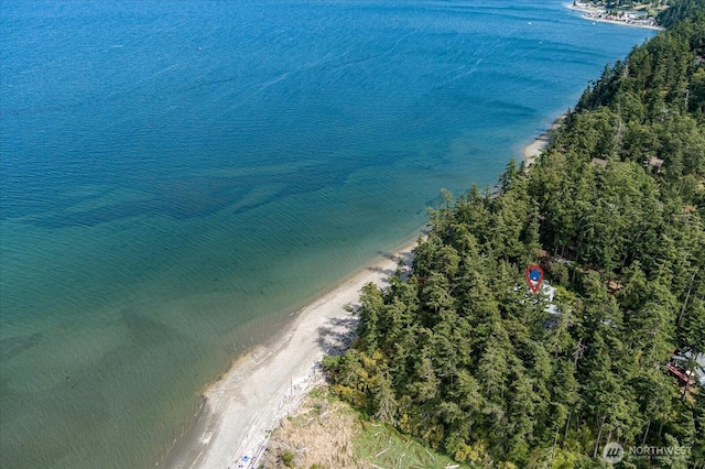 222 Rhodena Dr, Coupeville, WA 98239 - view of property location with unending shoreline