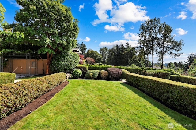 5511 104th Ave NE, Kirkland, WA 98033 - view of green lawn