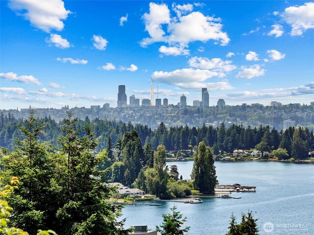 5511 104th Ave NE, Kirkland, WA 98033 - water view with a forest