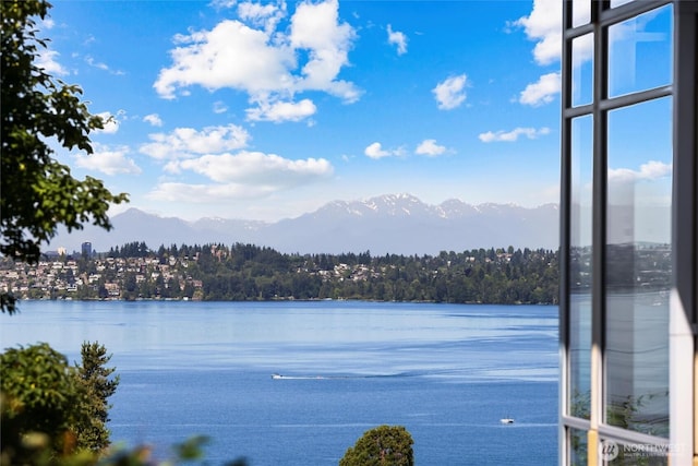 5511 104th Ave NE, Kirkland, WA 98033 - water view featuring mountains and a forest