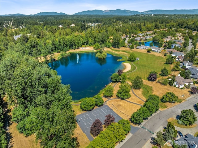 28314 180th Ave SE, Covington, WA 98042 - aerial view of a forest and a water and mountain view