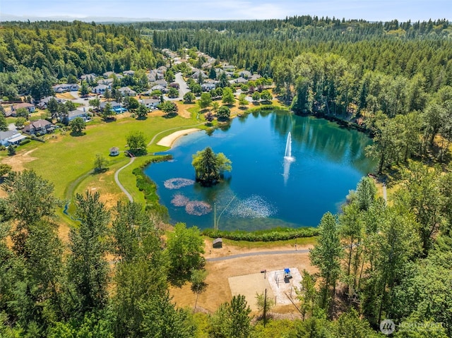 28314 180th Ave SE, Covington, WA 98042 - aerial perspective of suburban area featuring a heavily wooded area and a nearby body of water