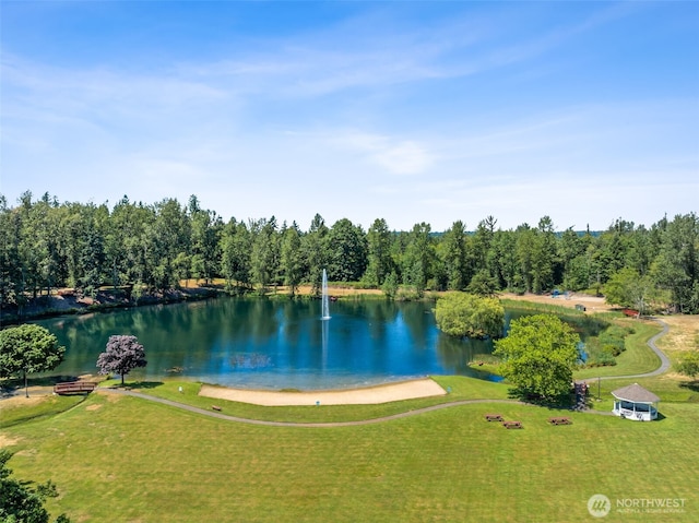 28314 180th Ave SE, Covington, WA 98042 - water view