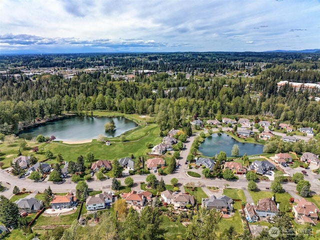 28314 180th Ave SE, Covington, WA 98042 - aerial view of residential area featuring a heavily wooded area and a large body of water