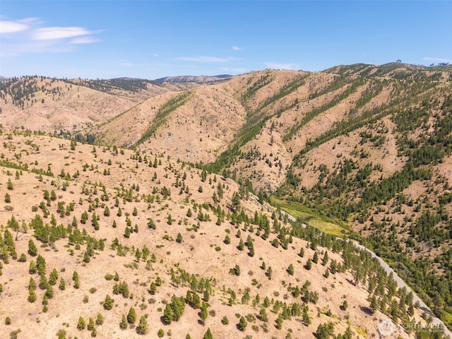 4LOT Mud Creek Rd, Entiat, WA 98822 - photo 21