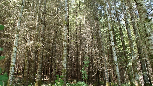 0 Lincoln Creek Rd, Centralia, WA 98531 - photo 2