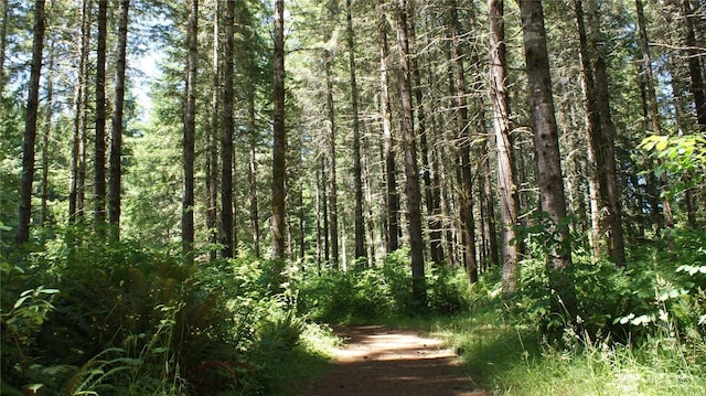 0 Lincoln Creek Rd, Centralia, WA 98531 - photo 3