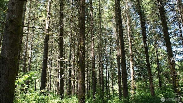 0 Lincoln Creek Rd, Centralia, WA 98531 - photo 4