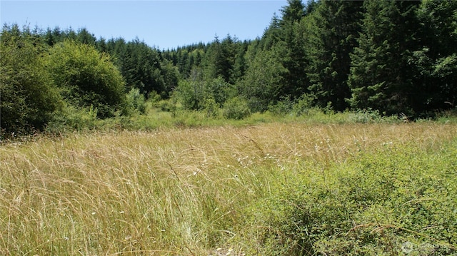 0 Lincoln Creek Rd, Centralia, WA 98531 - photo 6
