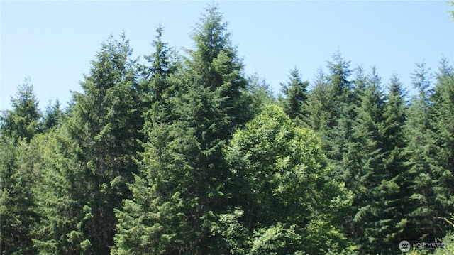 0 Lincoln Creek Rd, Centralia, WA 98531 - photo 7
