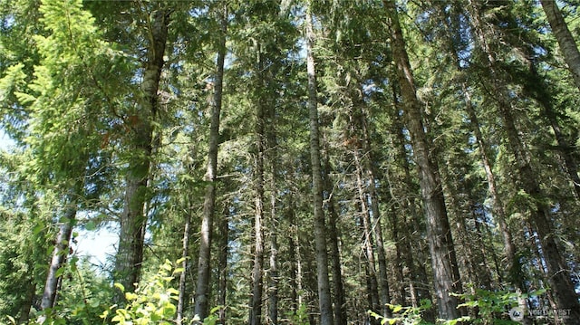 0 Lincoln Creek Rd, Centralia, WA 98531 - photo 9