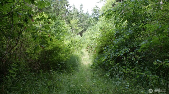 0 Lincoln Creek Rd, Centralia, WA 98531 - photo 11