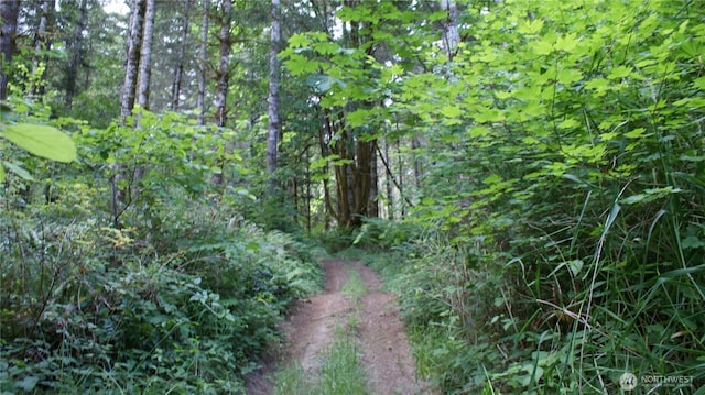0 Lincoln Creek Rd, Centralia, WA 98531 - photo 12