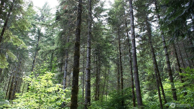 0 Lincoln Creek Rd, Centralia, WA 98531 - photo 13