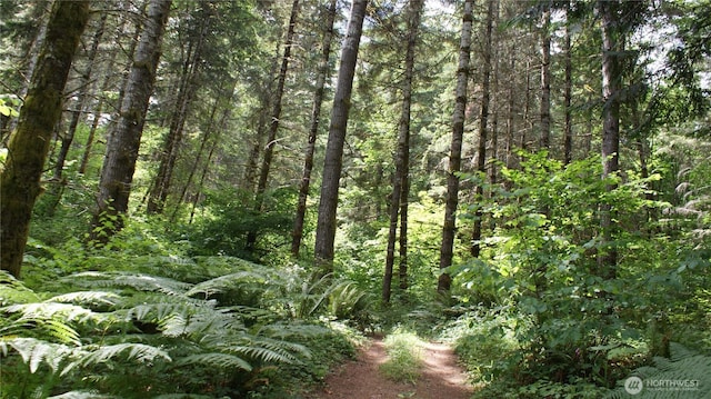 0 Lincoln Creek Rd, Centralia, WA 98531 - photo 15