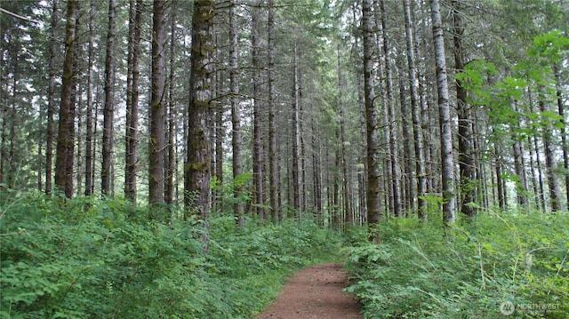 0 Lincoln Creek Rd, Centralia, WA 98531 - photo 1