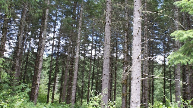 0 Lincoln Creek Rd, Centralia, WA 98531 - photo 17