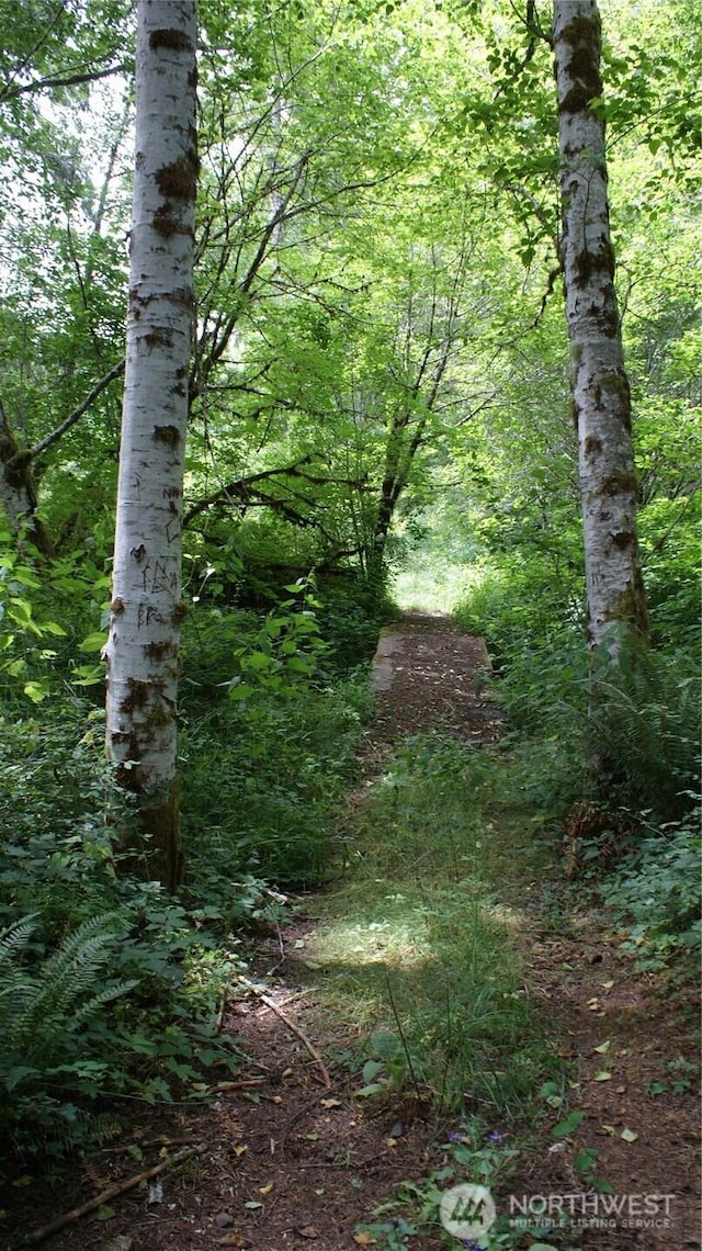 0 Lincoln Creek Rd, Centralia, WA 98531 - photo 19