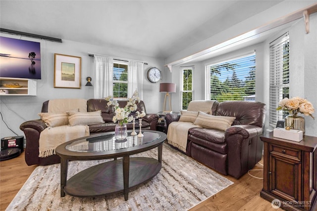 4418 85th Pl SW, Mukilteo, WA 98275 - living room featuring light wood-style flooring