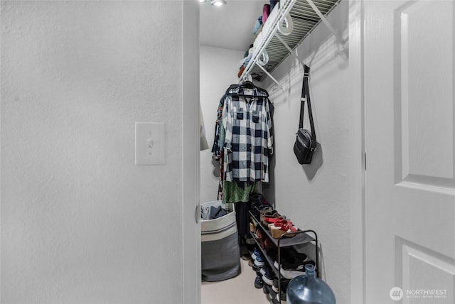 4418 85th Pl SW, Mukilteo, WA 98275 - view of spacious closet