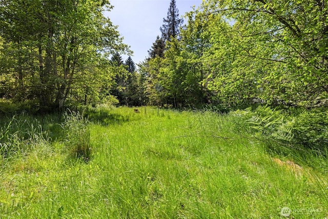 262 Birdsong Ln, Port Angeles, WA 98362 - photo 37