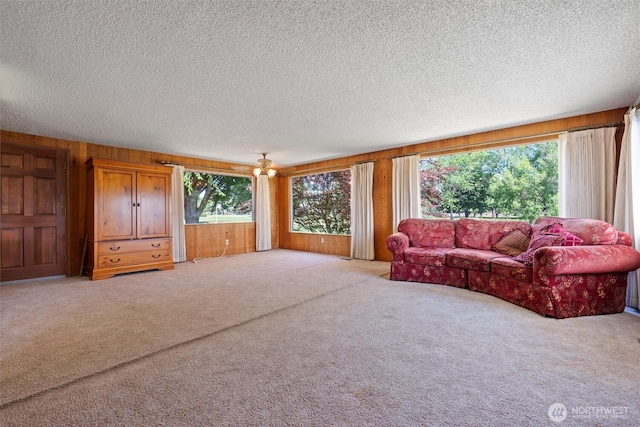 714 Canterbury Rd NW, Soap Lake, WA 98851 - living area with light carpet, plenty of natural light, a textured ceiling, and wooden walls