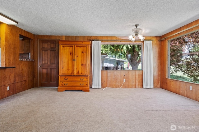 714 Canterbury Rd NW, Soap Lake, WA 98851 - spare room featuring wooden walls, a textured ceiling, and carpet flooring