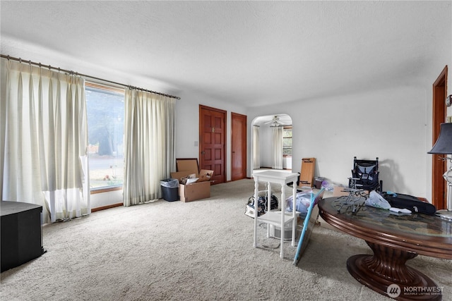 110 3rd Ave SW, Pacific, WA 98047 - carpeted living area featuring arched walkways