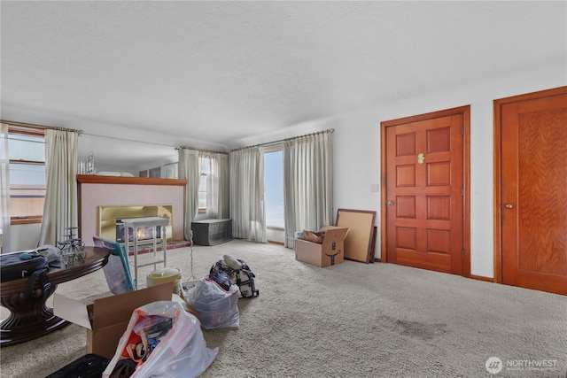 110 3rd Ave SW, Pacific, WA 98047 - living area featuring carpet floors