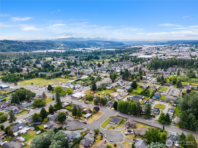 110 3rd Ave SW, Pacific, WA 98047 - view of property location featuring a mountain backdrop and nearby suburban area
