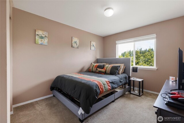 1327 181st Street Ct E, Spanaway, WA 98387 - photo 15