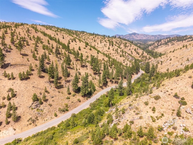 3LOT Mud Creek Rd, Entiat, WA 98822 - photo 6