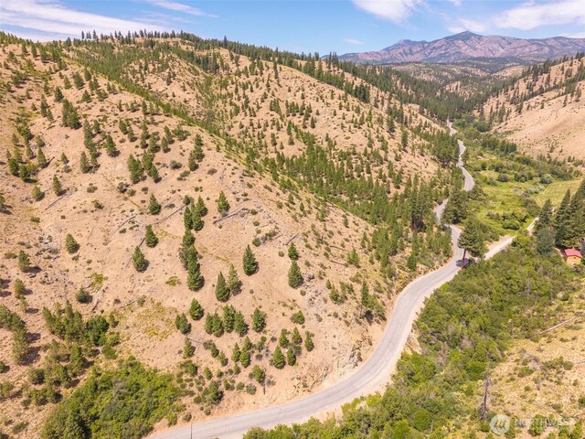 3LOT Mud Creek Rd, Entiat, WA 98822 - photo 8