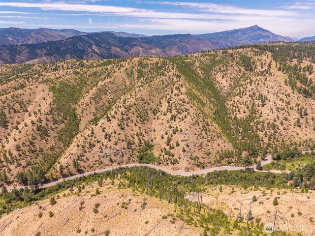 3LOT Mud Creek Rd, Entiat, WA 98822 - photo 13