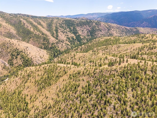 3LOT Mud Creek Rd, Entiat, WA 98822 - photo 15