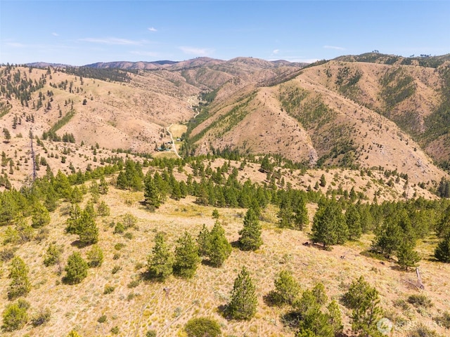 3LOT Mud Creek Rd, Entiat, WA 98822 - photo 17